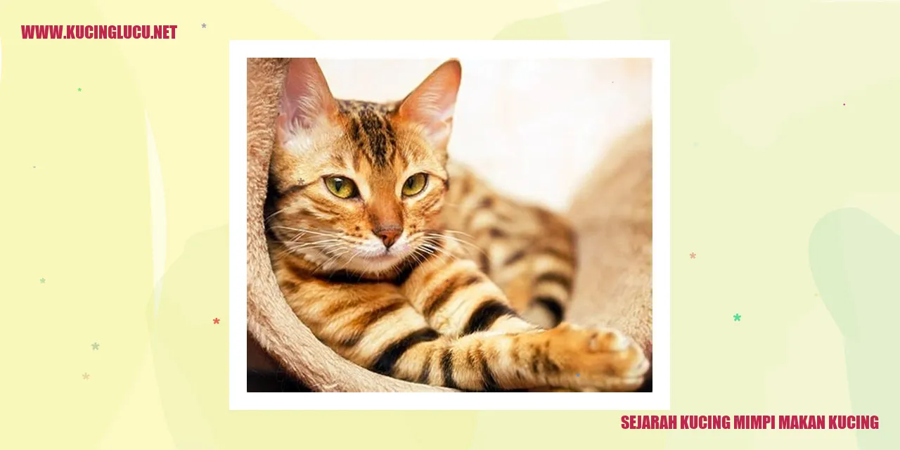 Gambar Sejarah Kucing Mimpi Makan Kucing