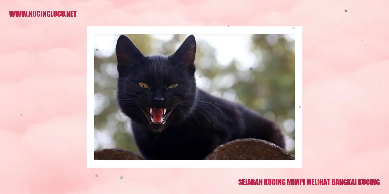 Gambar Kucing yang Melihat Mayat Kucing