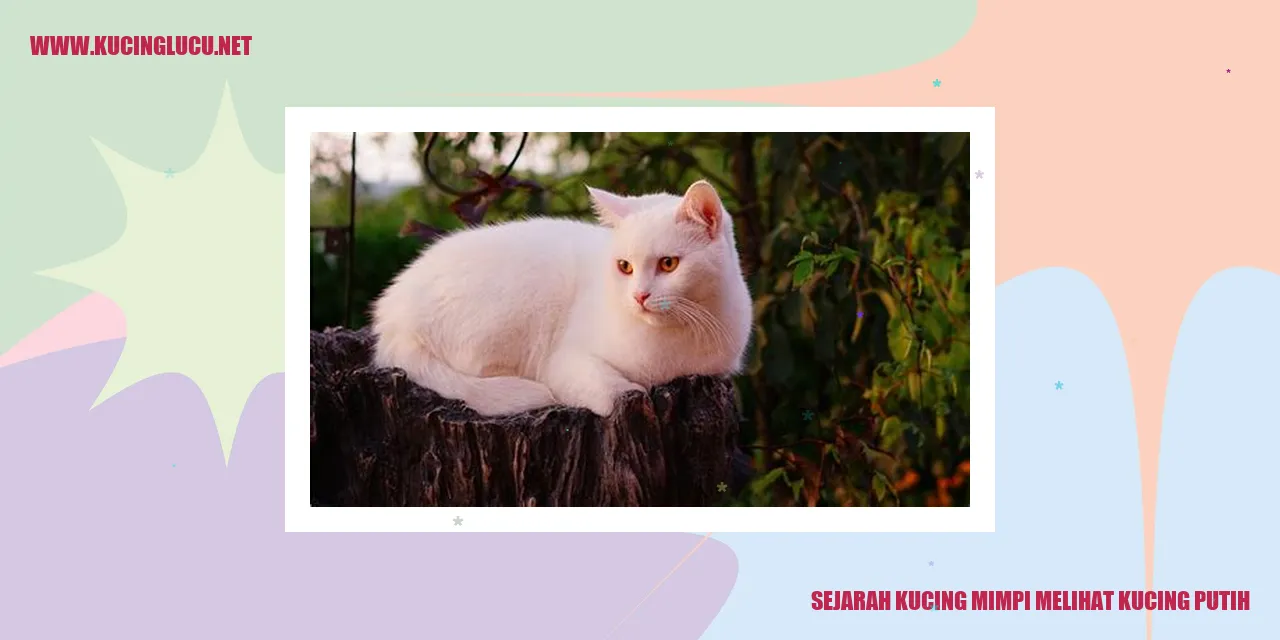 Gambar kucing putih