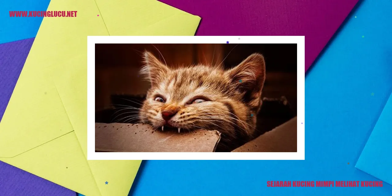 Kucing berkhayal menatap kucing