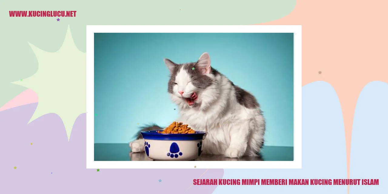 Kucing Mimpi Memberi Makan Kucing Menurut Islam