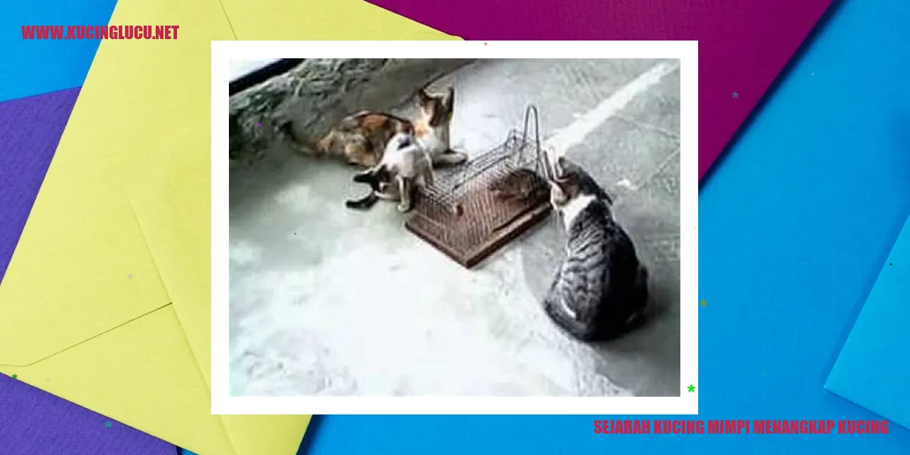 Kucing Mimpi Menangkap Kucing