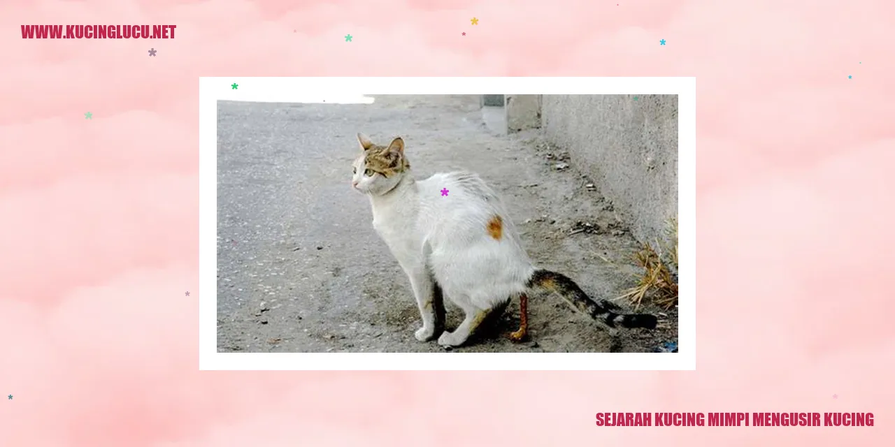 Kucing Mimi