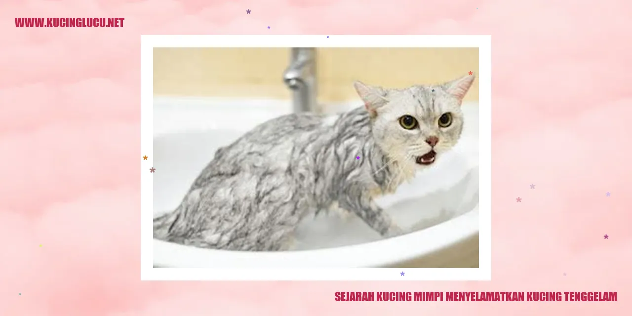 Kucing mimpi menyelamatkan kucing tenggelam