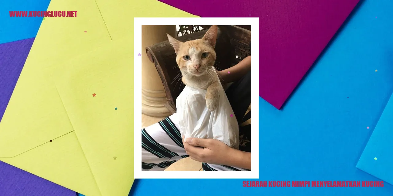 Kucing mimpi menyelamatkan kucing