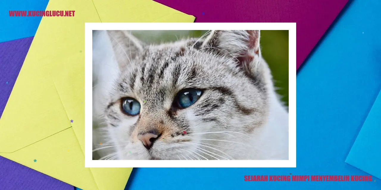 Gambar Kucing Mimpi Menyembelih Kucing