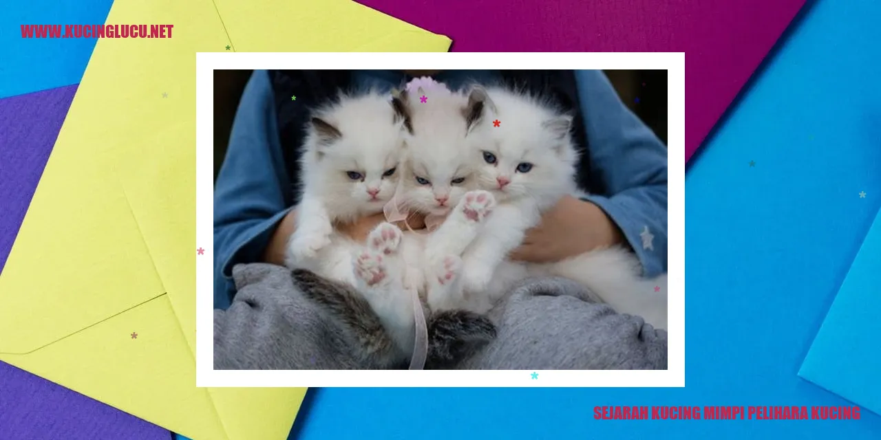 Gambar Kucing