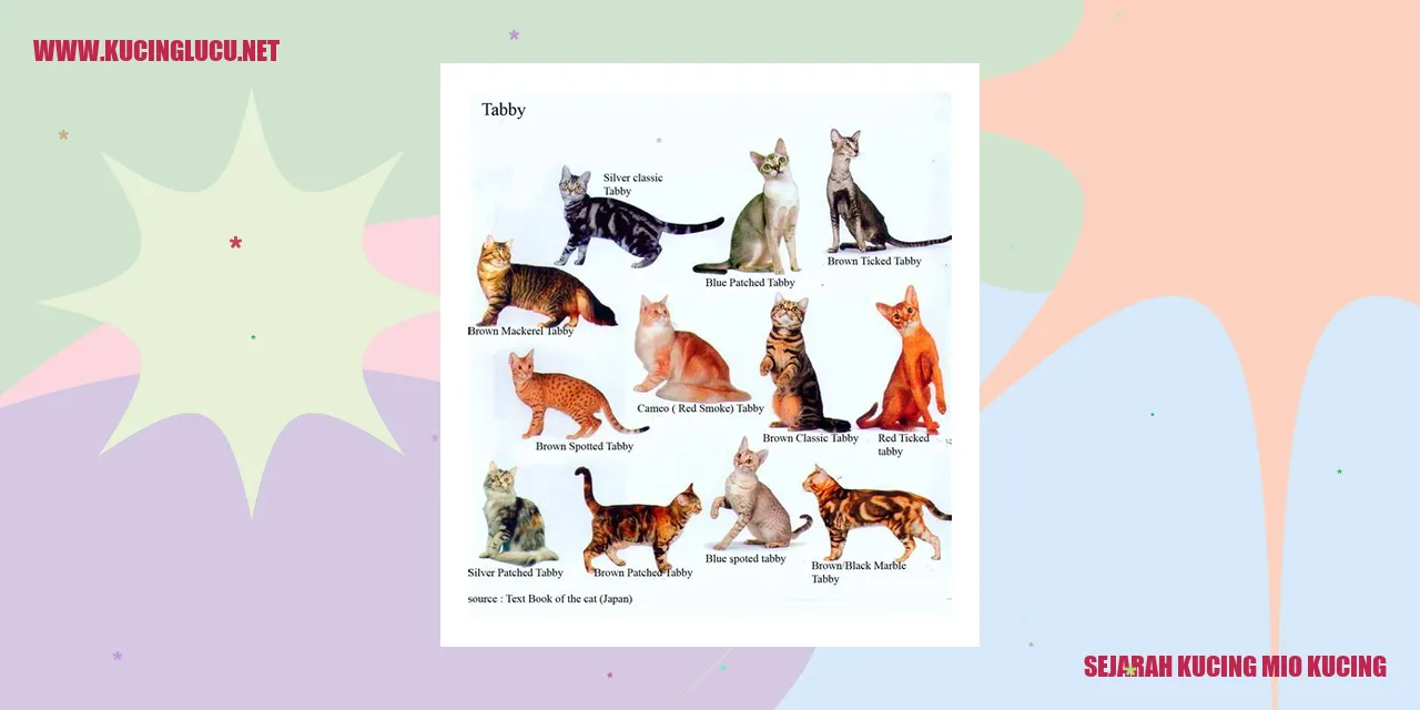 Sejarah Kucing Mio Kucing