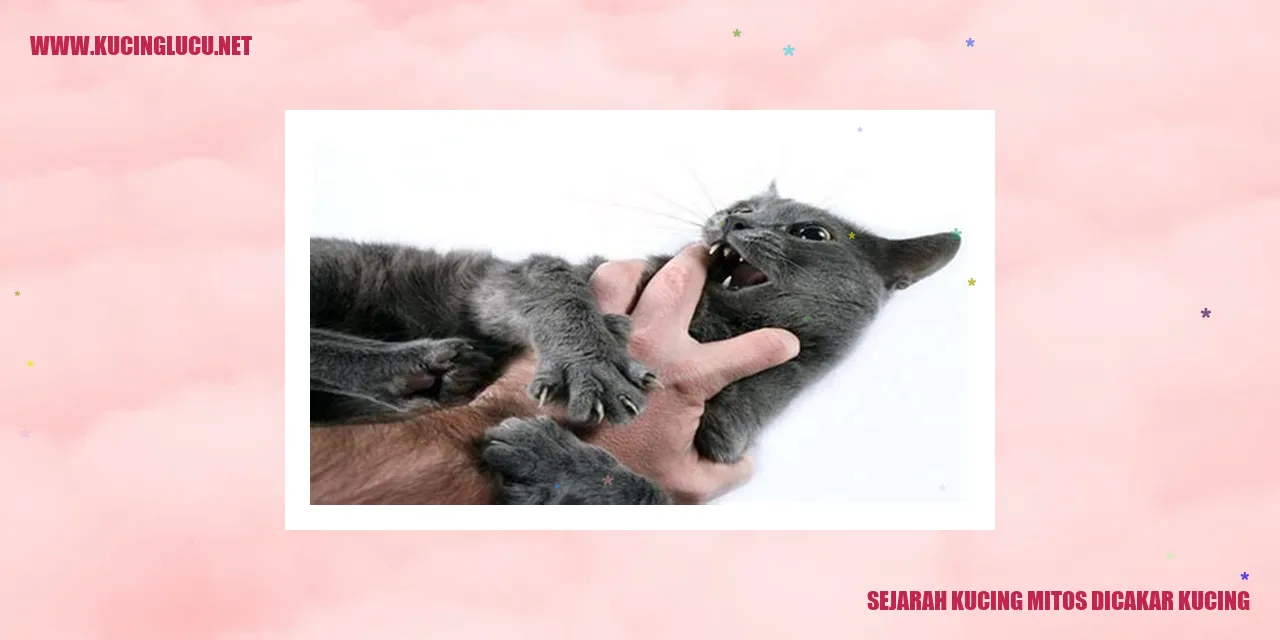 Sejarah Kucing Mitos Dicakar Kucing