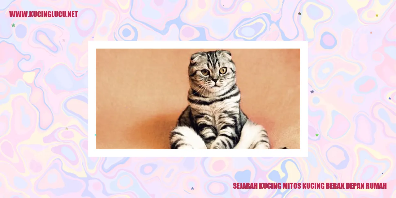 Kucing mengotori depan rumah
