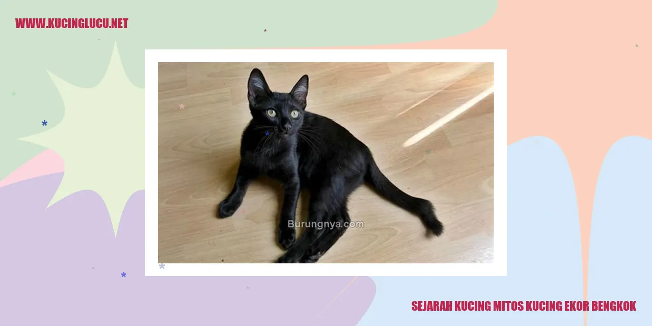 Gambar Kucing Bermisteri