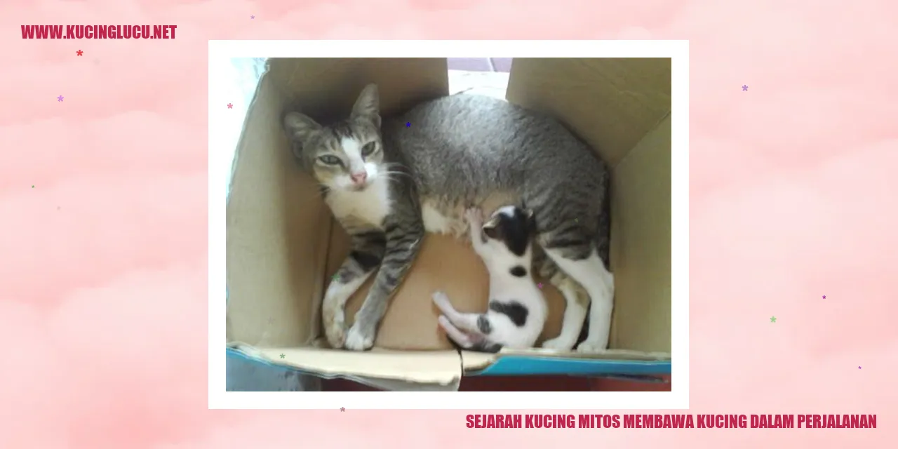 Gambar kucing peliharaan