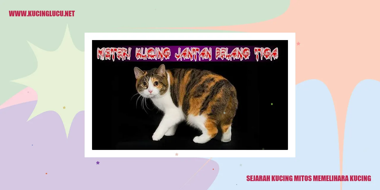 Sejarah Kucing Mitos Memelihara Kucing