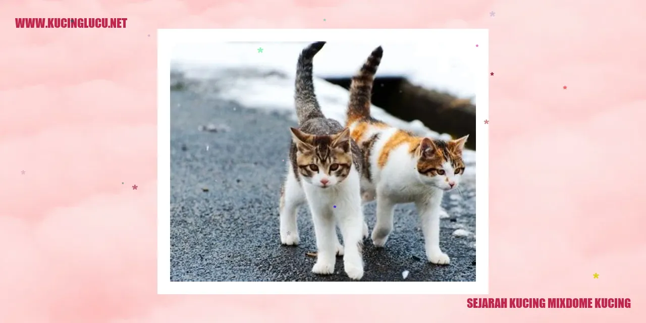 Sejarah Kucing Mixdome Kucing