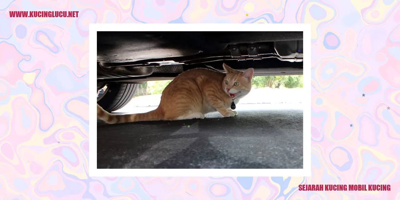 Kucing Mobil Kucing
