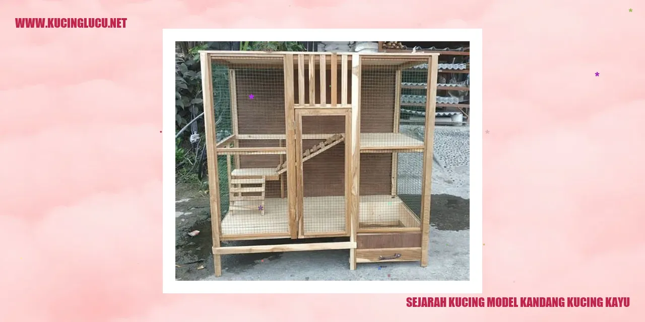 Kucing model kandang kayu