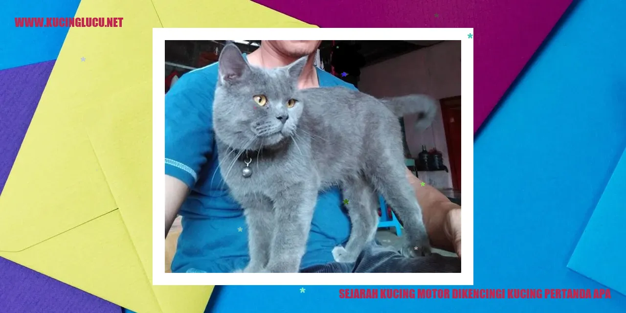 Sejarah Kucing Motor Dikencingi Kucing