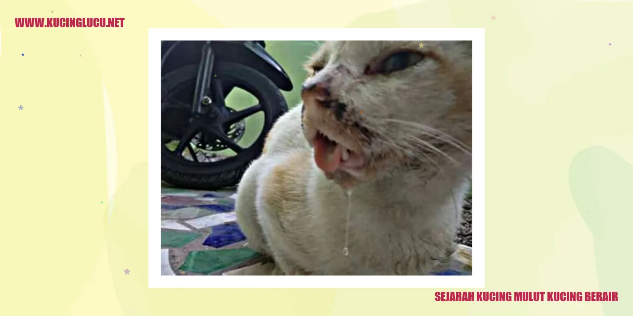 Gambar sejarah Kucing Mulut Kucing Berair