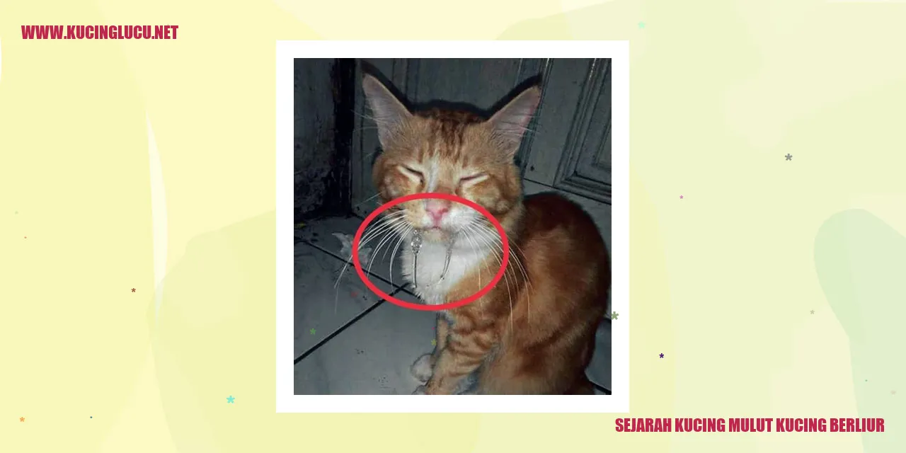 Gambar Kucing Mulut Kucing Berliur