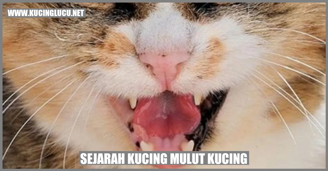 Gambar Kucing yang Melarikan Lidah