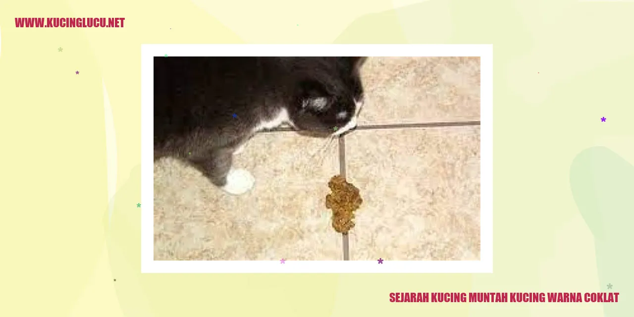 Kucing Muntah Kucing Warna Coklat