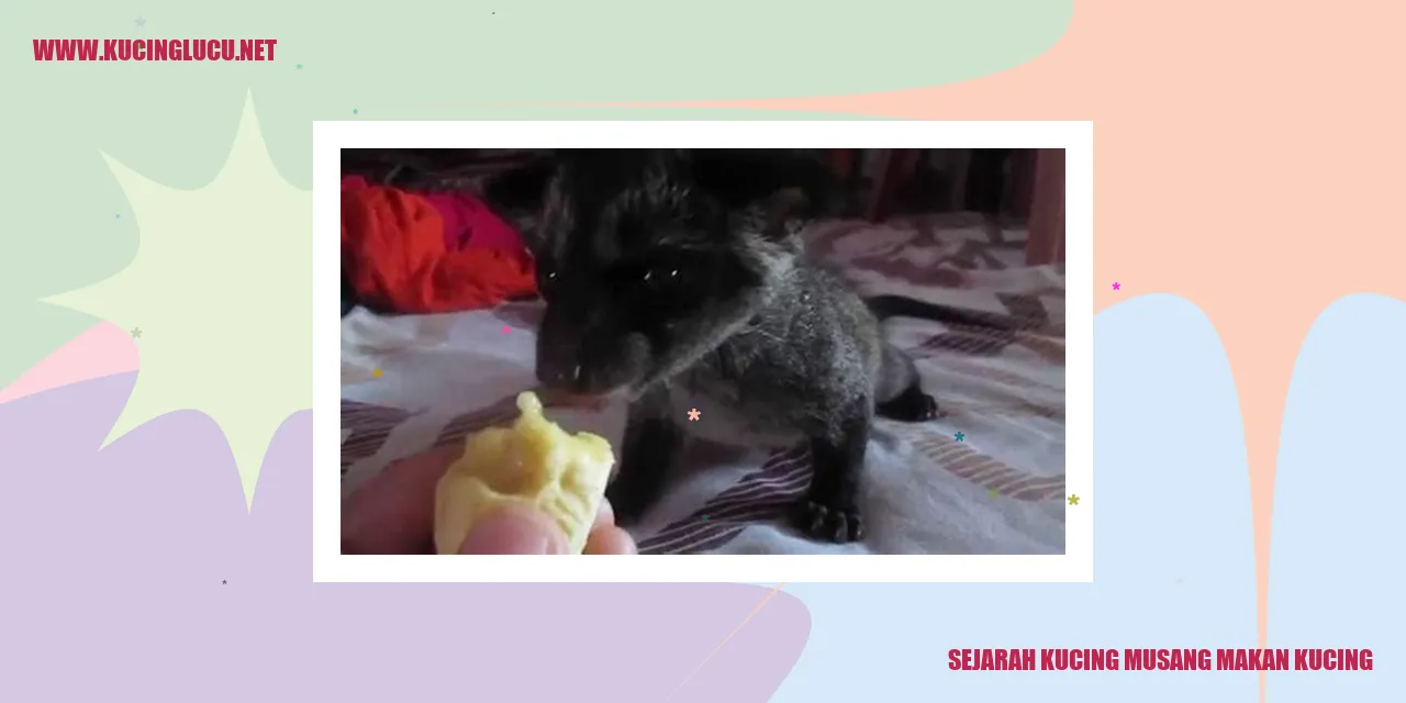 Kucing Musang