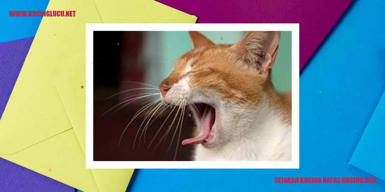 Sejarah Kucing Nafas Kucing Bau