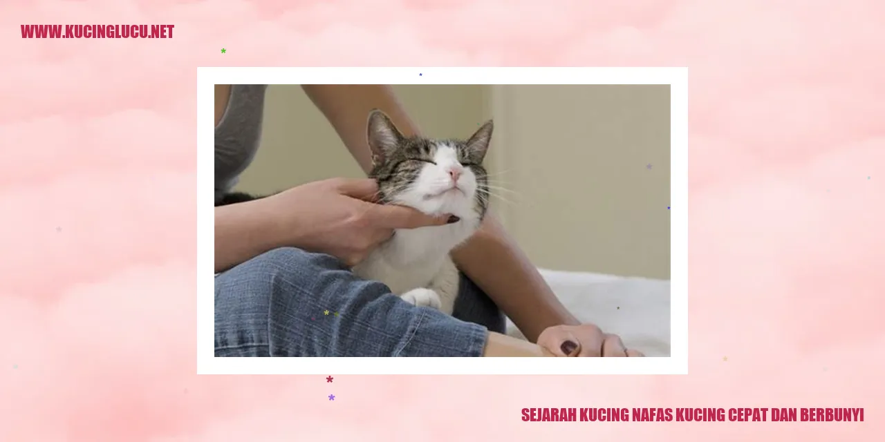 Gambar Kucing