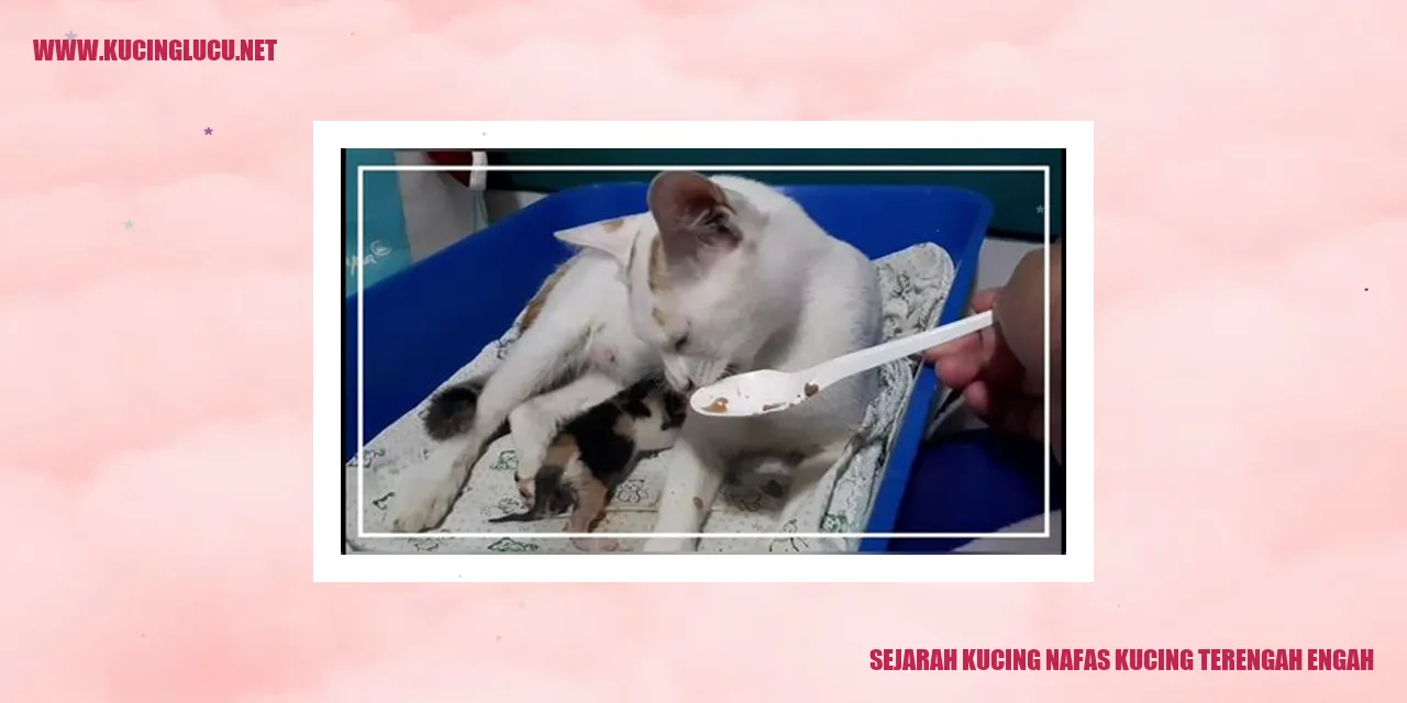 Sejarah Kucing