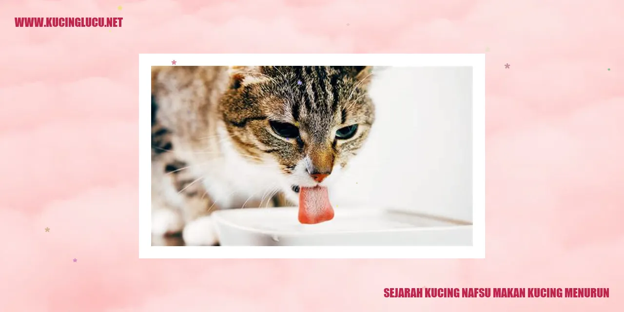 Gambar Kucing