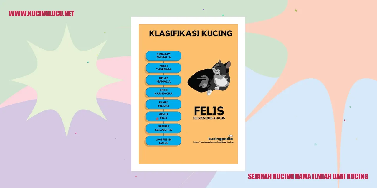 Kucing yang Menggemaskan