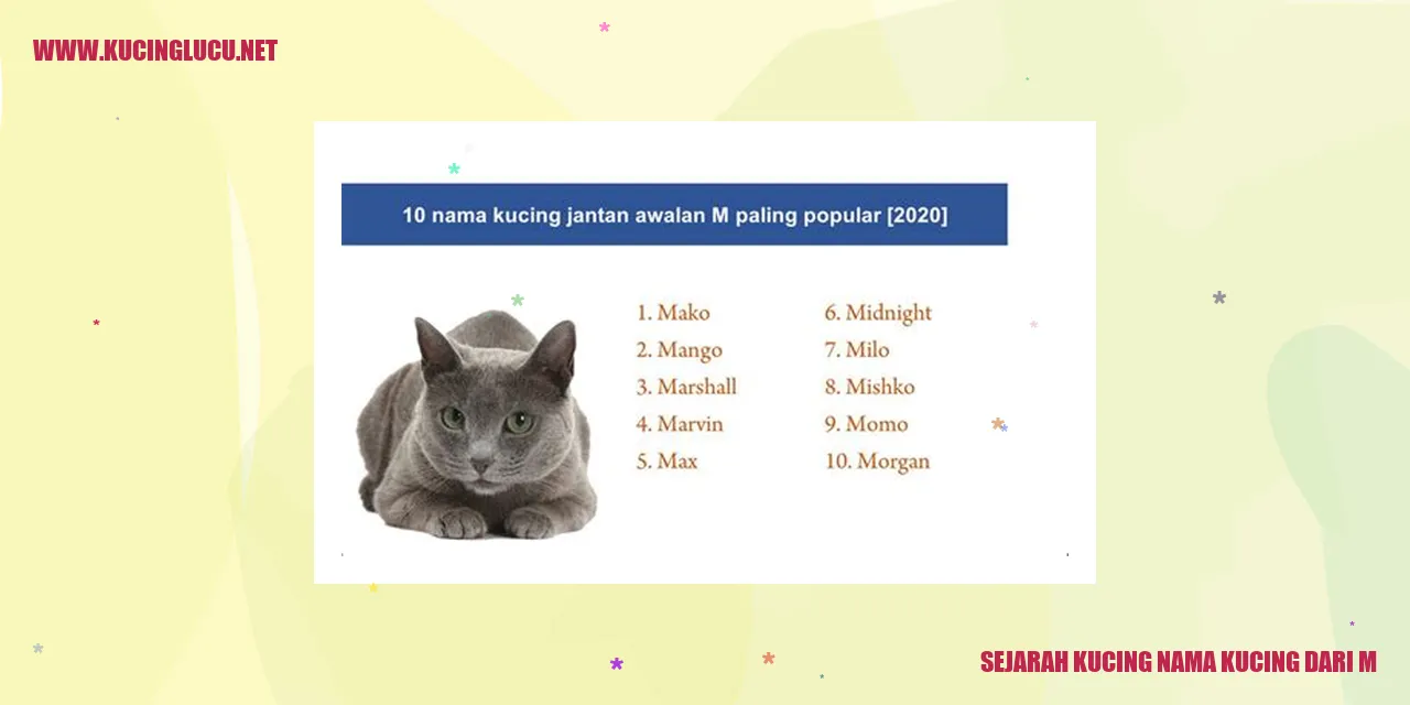 Gambar Kucing
