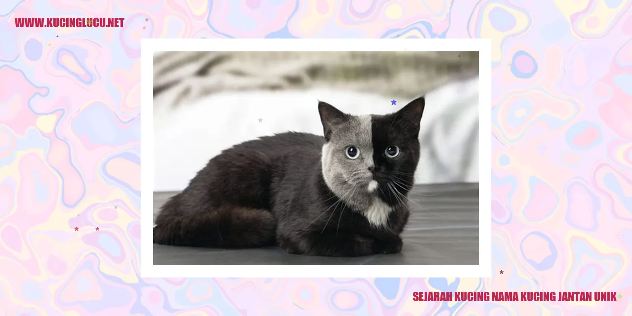 Sejarah Kucing dengan Nama Unik untuk Kucing Jantan