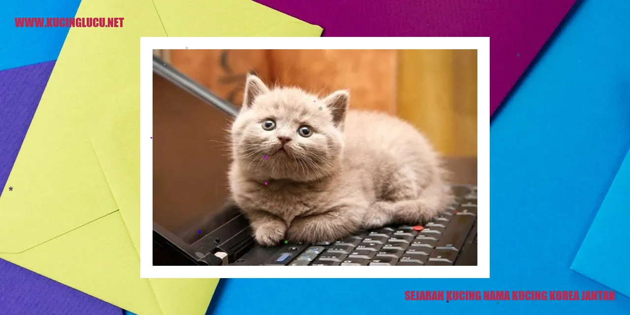 Sejarah Kucing Nama Kucing Korea Jantan