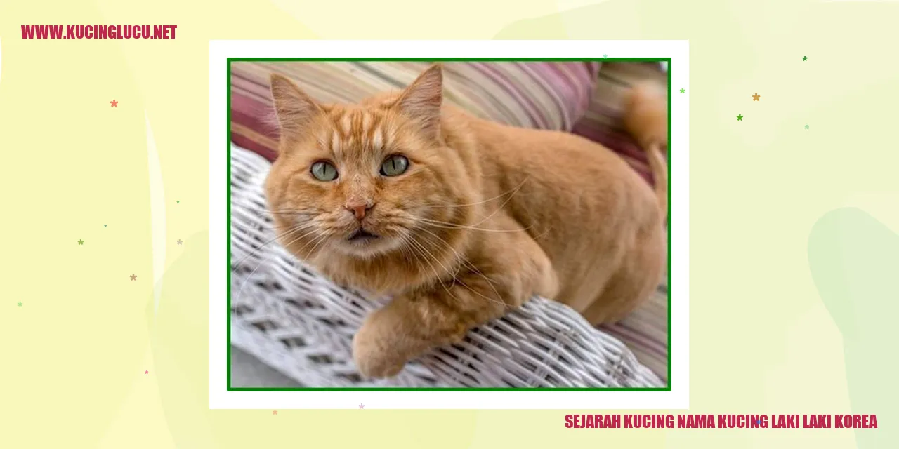 Sejarah Kucing Nama Kucing Laki-Laki Korea