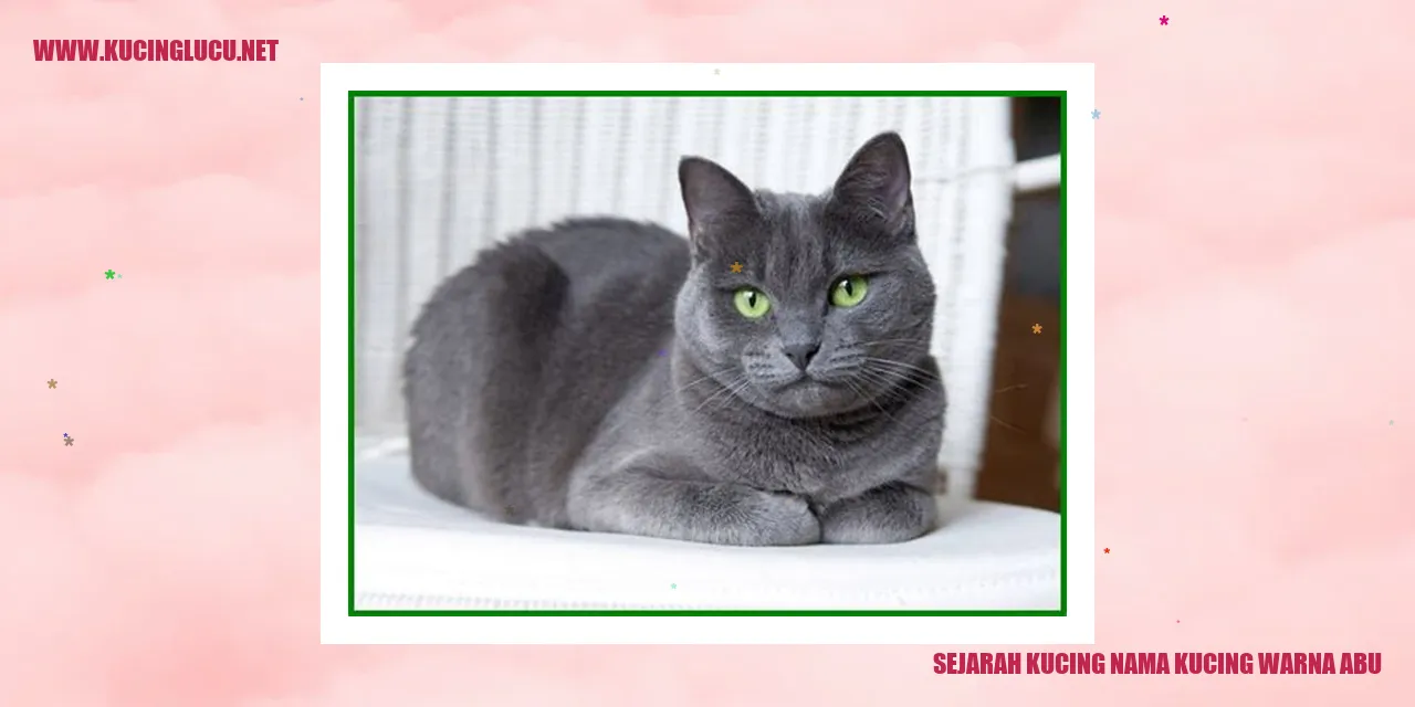Kucing Warna Abu