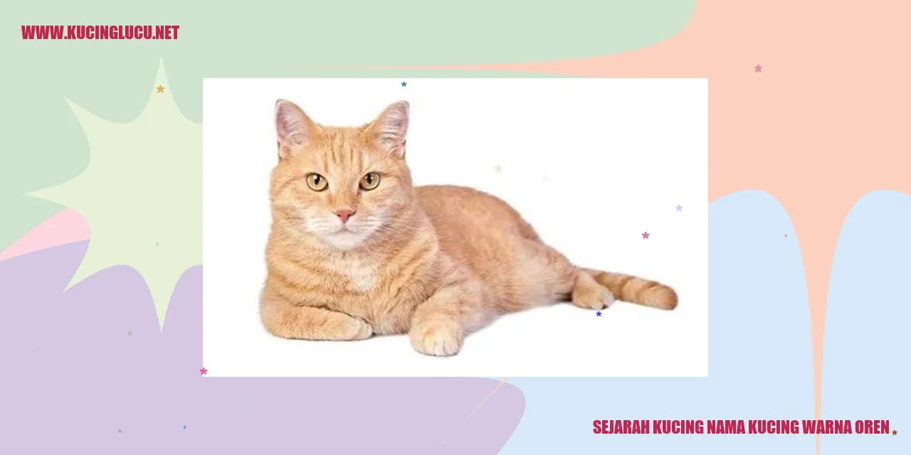 Kucing Berwarna Oren