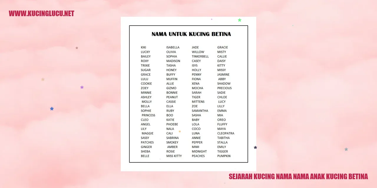 Gambar kucing