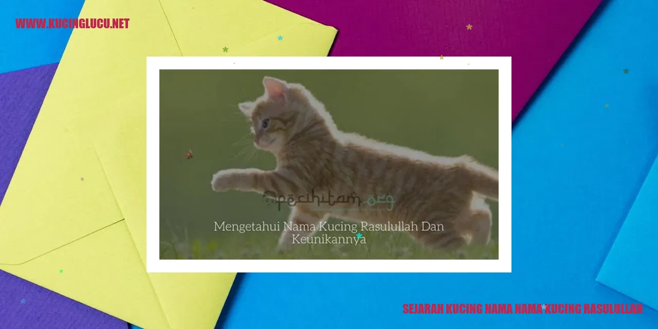 gambar kucing yang mendengarkan