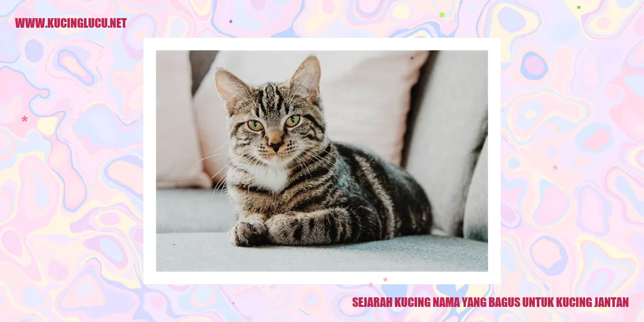 Sejarah Kucing