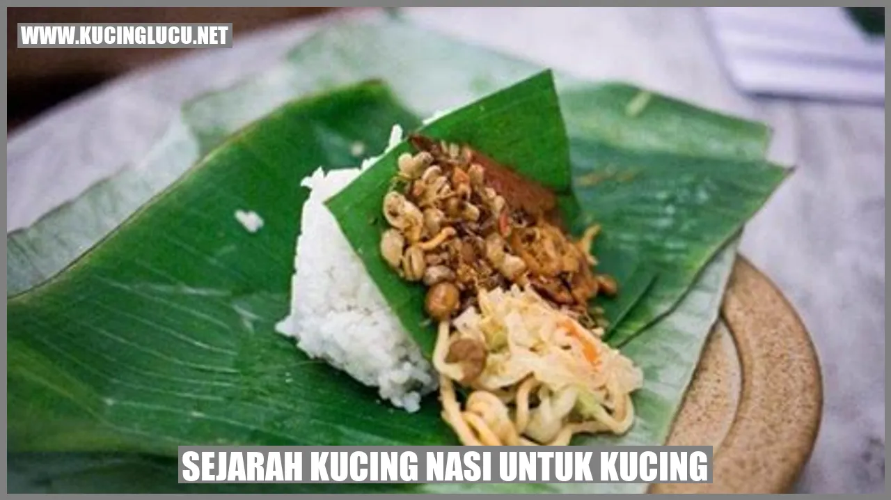Gagasan Terbentuknya Makanan Kucing Nasi
