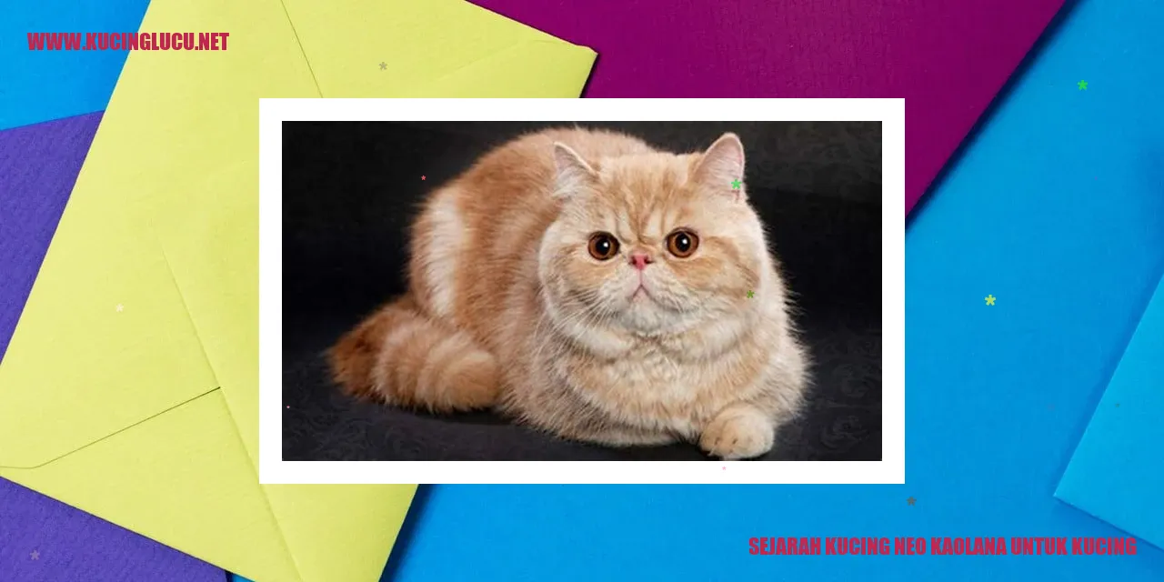 Gambar Kucing Neo Kaolana