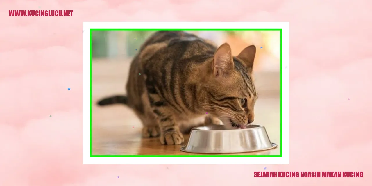 Gambar: Sejarah Kucing ngasih makan kucing