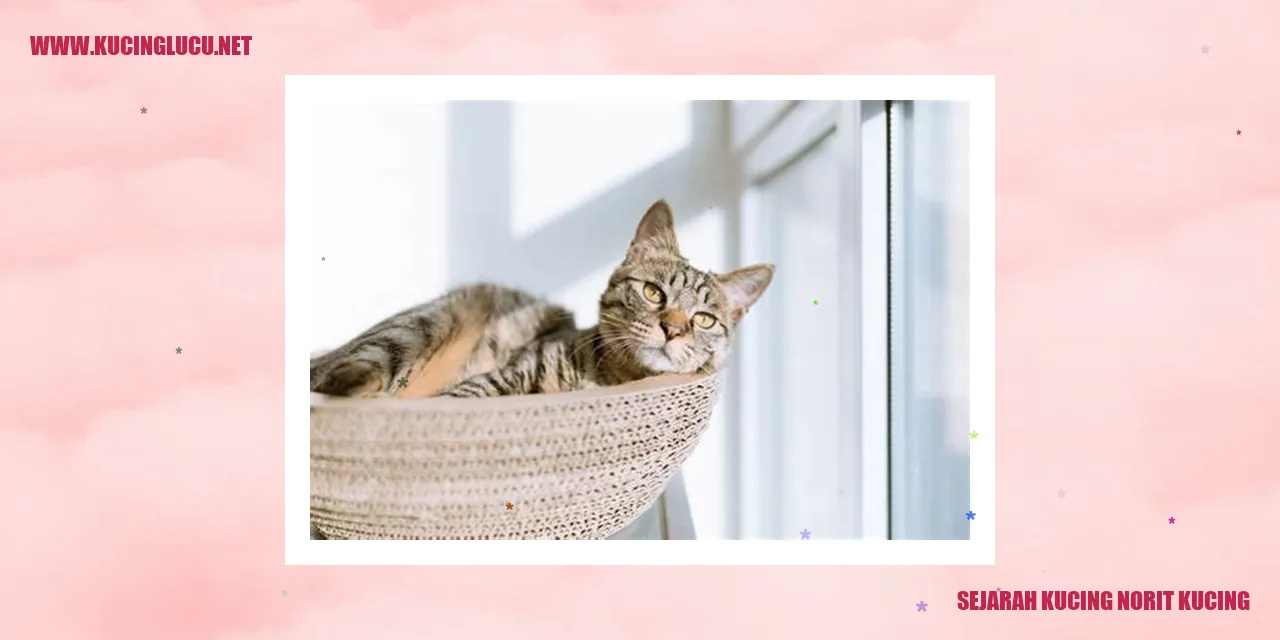 Sejarah Kucing Norit Kucing