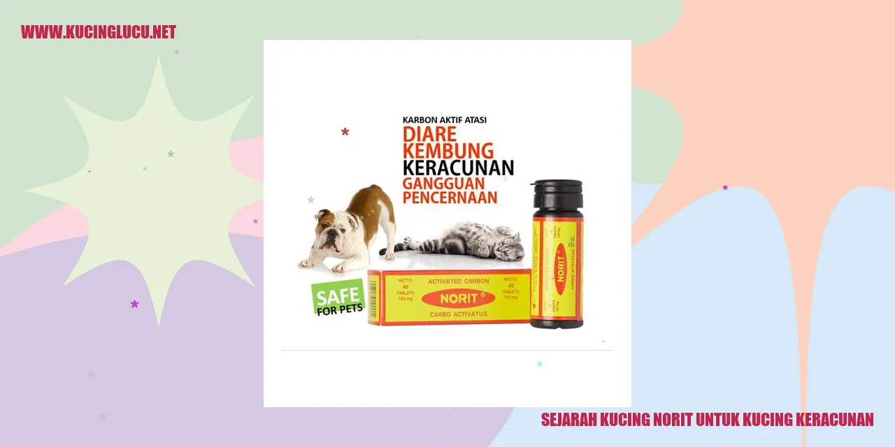 Ilustrasi Kucing Norit untuk Kucing Keracunan