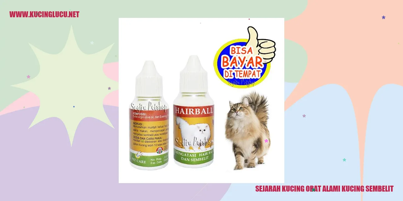 Kucing obat alami kucing sembelit