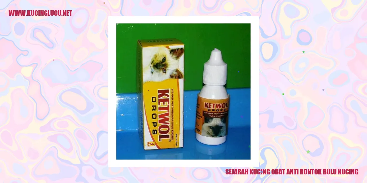 Gadis Mengadu Kucing