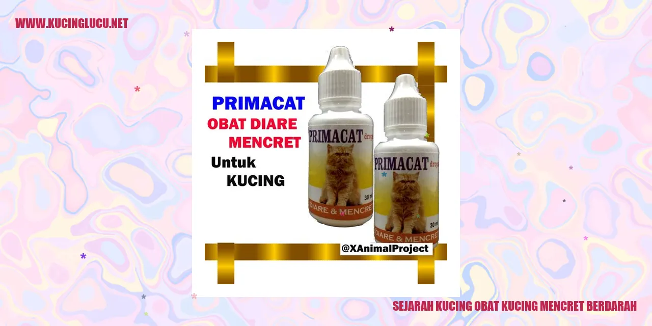 Kucing Obat Kucing Mencret Berdarah