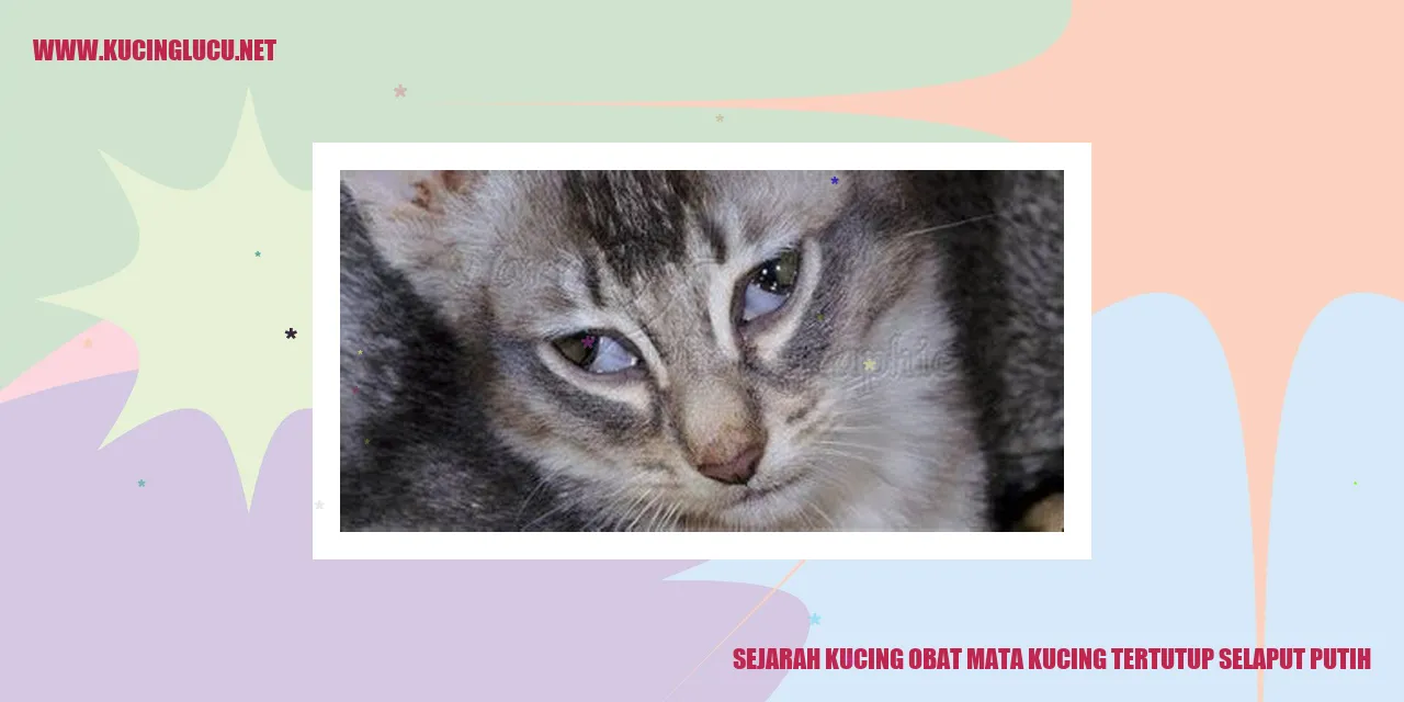 gambar tentang kucing obat mata selaput putih