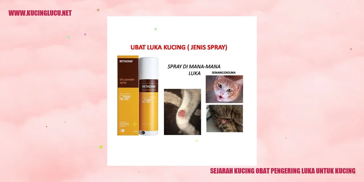 Gambar Kucing Penyembuh Luka